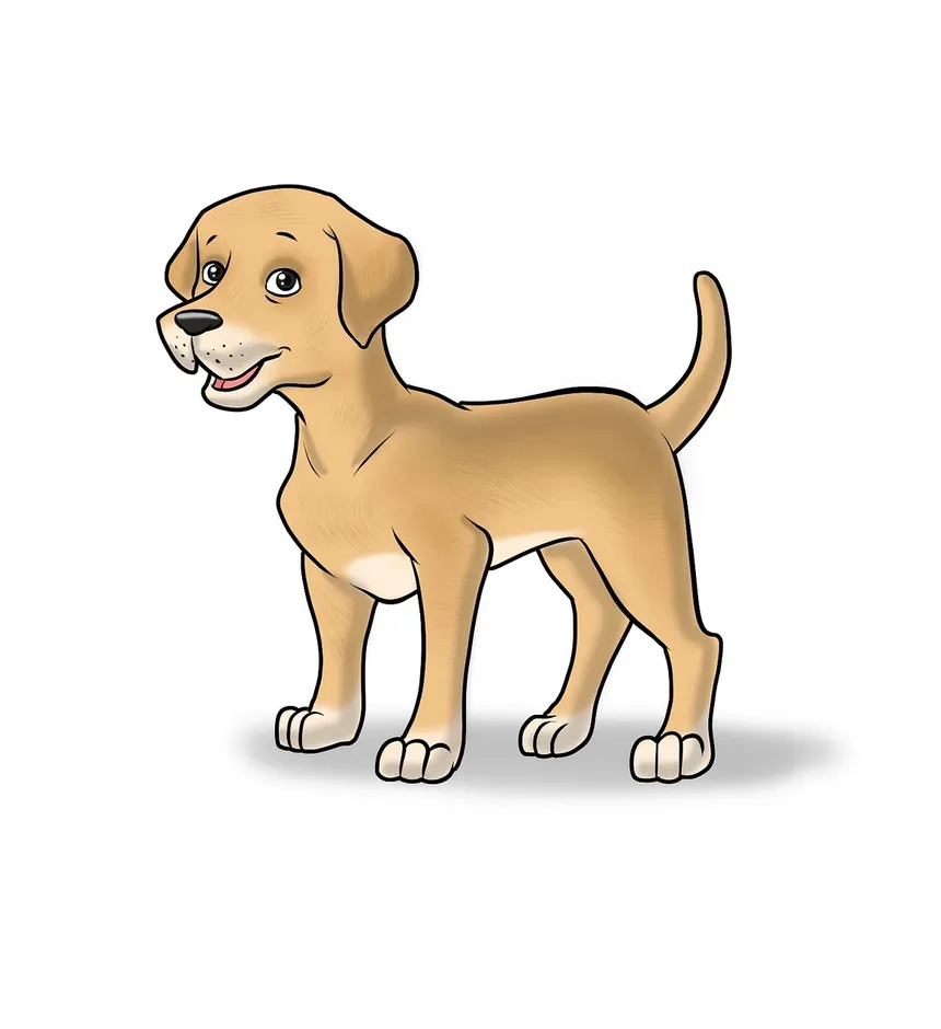 Como Aliviar a Coceira e a Pele Seca em Cães: Um Guia Completo